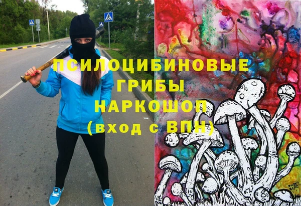 дмт Алексин
